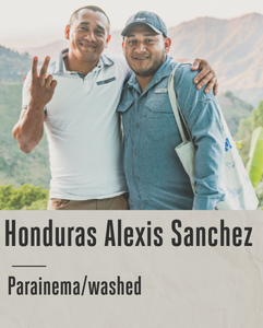 kawa speciality z Hondurasu