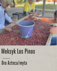 kawa speciality(42).png