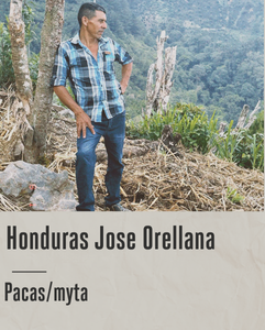 HONDURAS JOSE ORELLANA