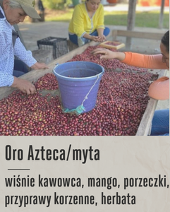 MEKSYK LOS PINOS