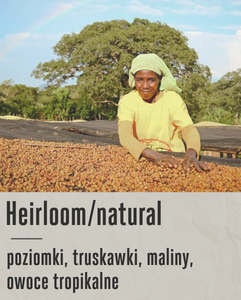 ETHIOPIA HARO WACHU