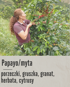 kawa speciality(51).png