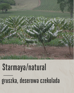 kawa speciality(61).png