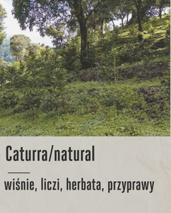 kawa speciality(9).png